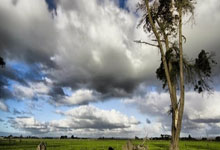 U17国足为何能和韩国队对飙？这场较量藏着中国足球的哪些信号？