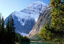 如何在线观看浙江卫视直播？实用指南来了！