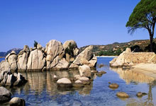 中国女排的工资表是怎样的？球员收入都包含哪些部分？